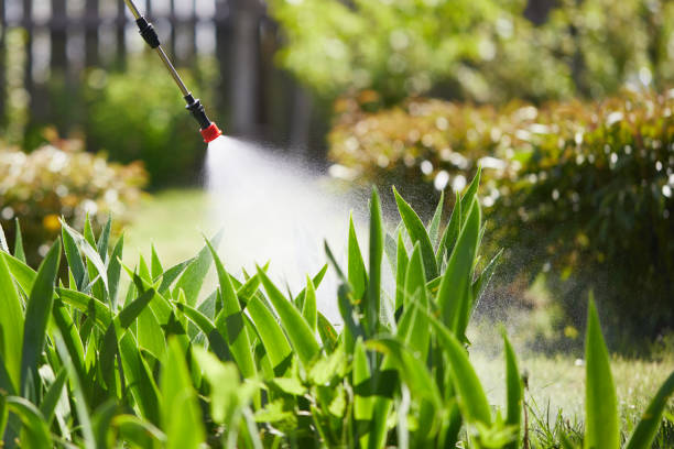Tamper-Resistant Bait Stations for Rodents in Bradner