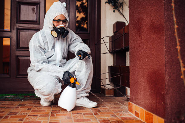 Attic and Crawl Space Rodent Treatment in Bradner