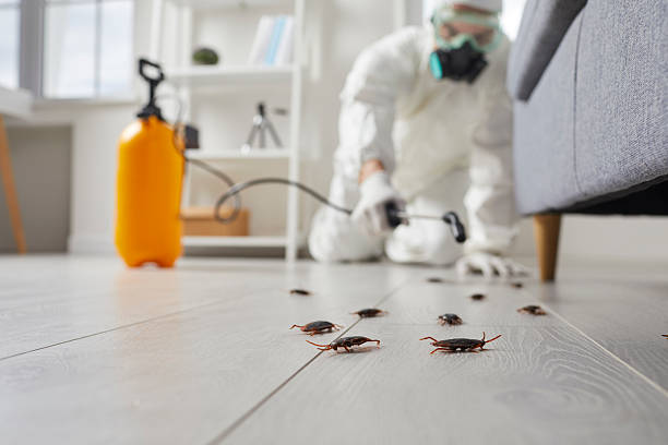 Commercial Rodent Management in Bradner